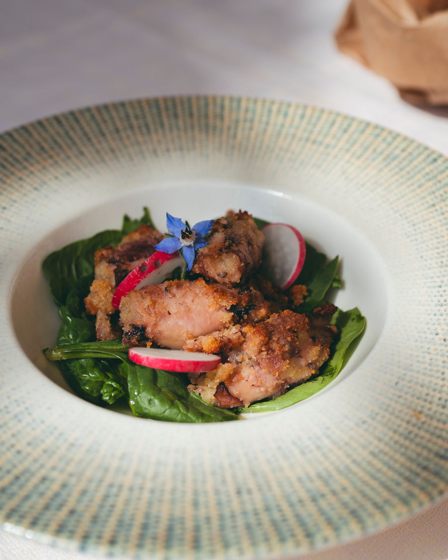 Un piatto fondo con pollo dorato su spinaci freschi, ravanelli e fiori di borragine